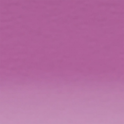 lavender-p250